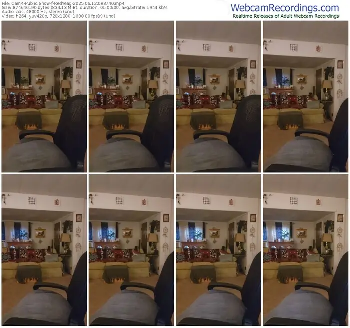 2025/06/12/cam4-redyeag-09-37-40