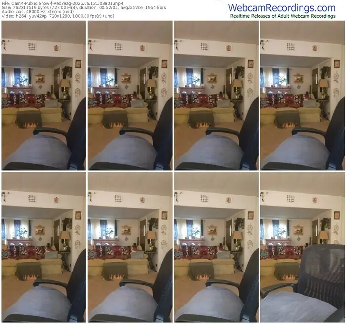 2025/06/12/cam4-redyeag-10-38-01