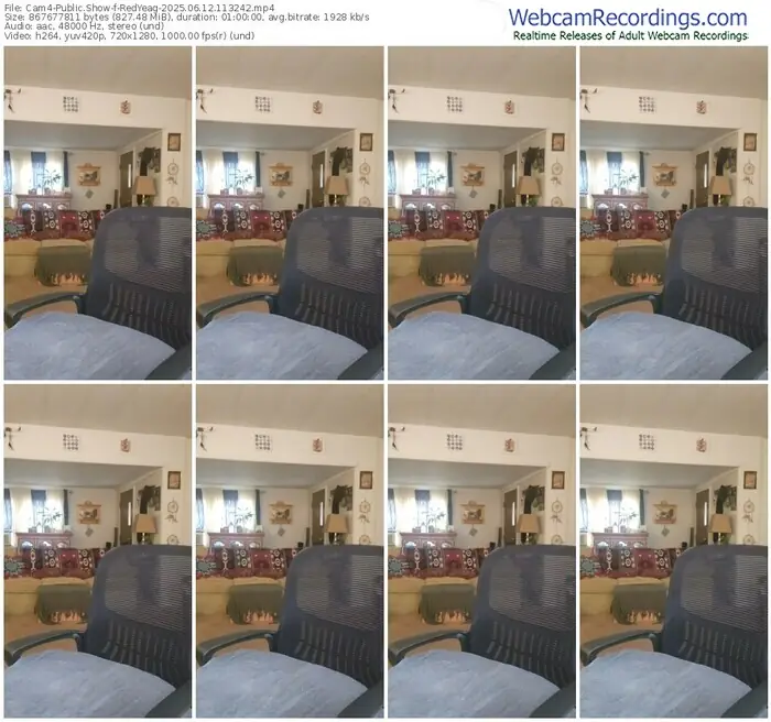 2025/06/12/cam4-redyeag-11-32-42