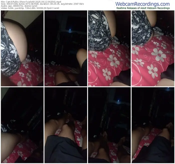 2025/06/12/cam4-cielo60-06-25-41