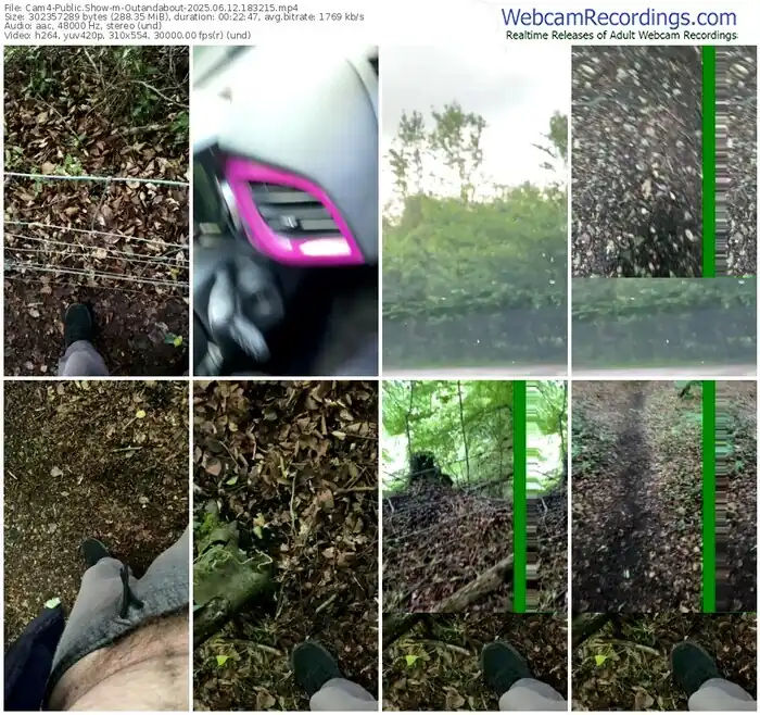 2025/06/12/cam4-outandabout-18-32-15