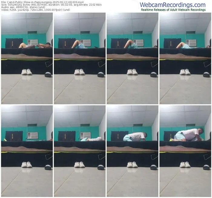 2025/06/12/cam4-papiyoungpig-18-16-33