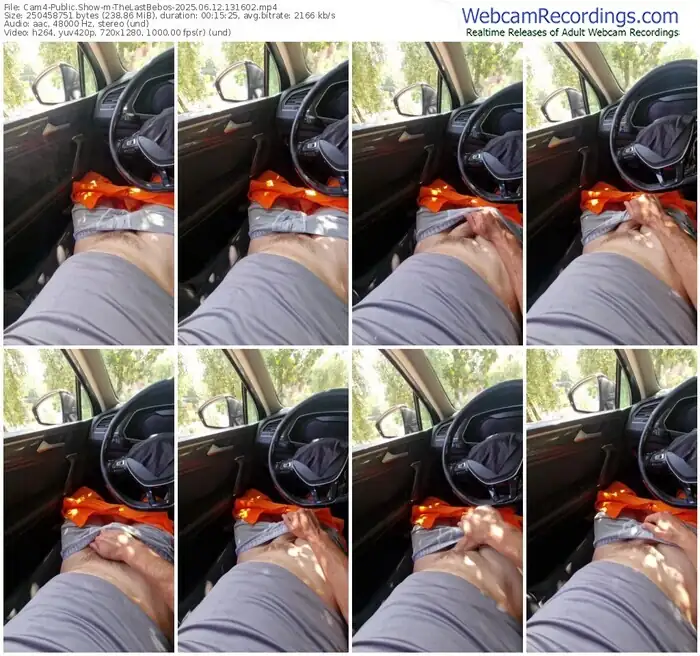 2025/06/12/cam4-thelastbebos-13-16-02
