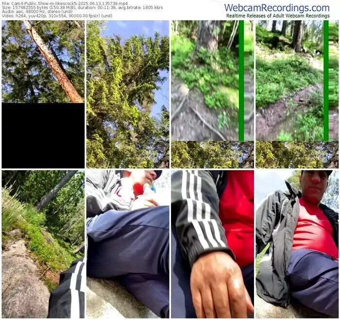 2025/06/13/cam4-likescock5-13-57-39