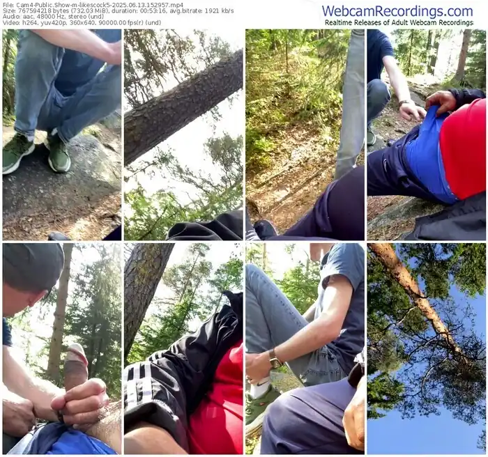 2025/06/13/cam4-likescock5-15-29-57