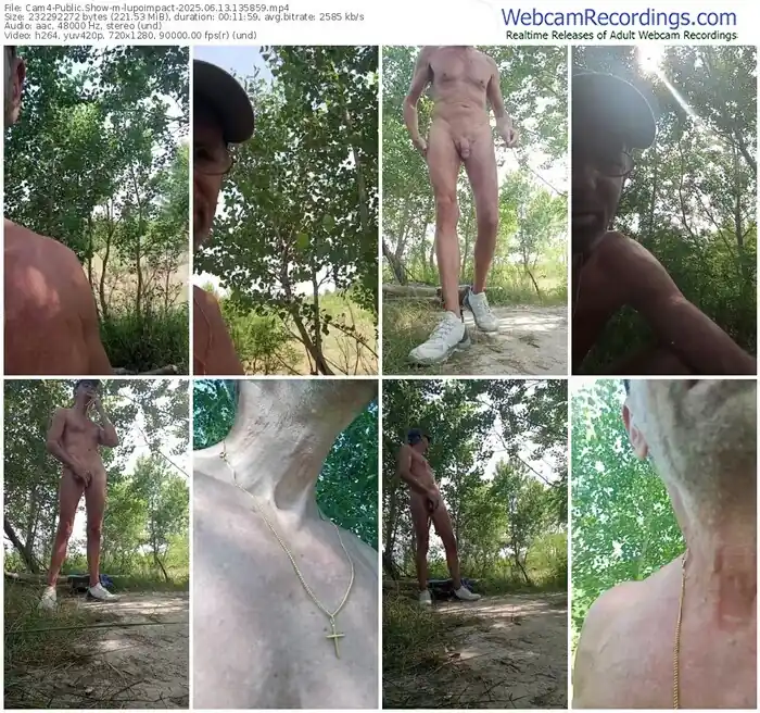 2025/06/13/cam4-lupoimpact-13-58-59