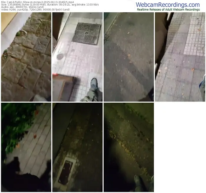 2025/06/13/cam4-minex2-20-46-15