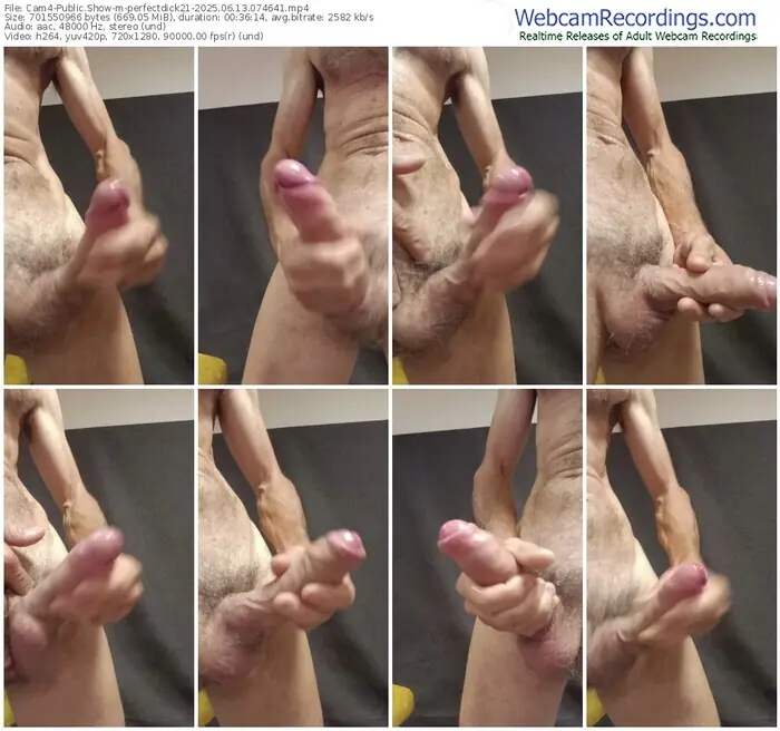 2025/06/13/cam4-perfectdick21-07-46-41
