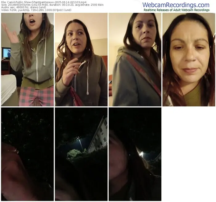 2025/06/14/cam4-paintpantiesxxx-02-11-03