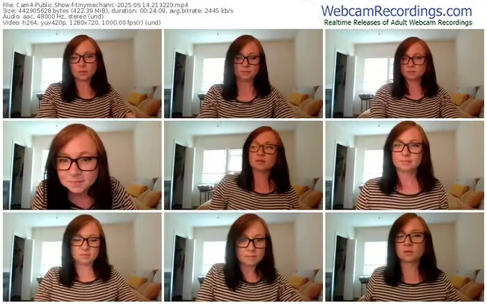 2025/06/14/cam4-tinymechanic-21-32-29