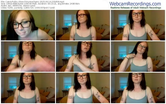 2025/06/14/cam4-tinymechanic-23-59-58