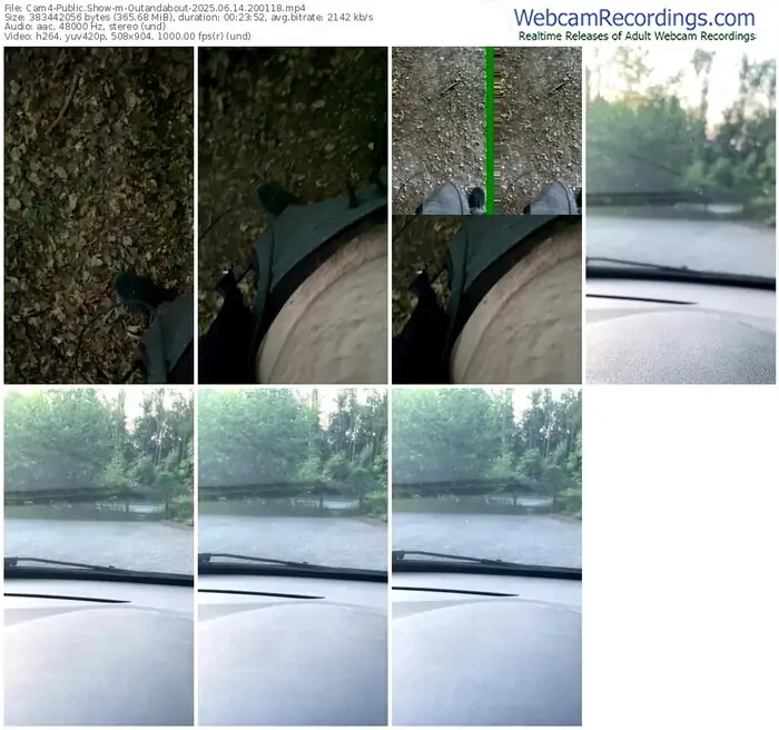 2025/06/14/cam4-outandabout-20-01-18