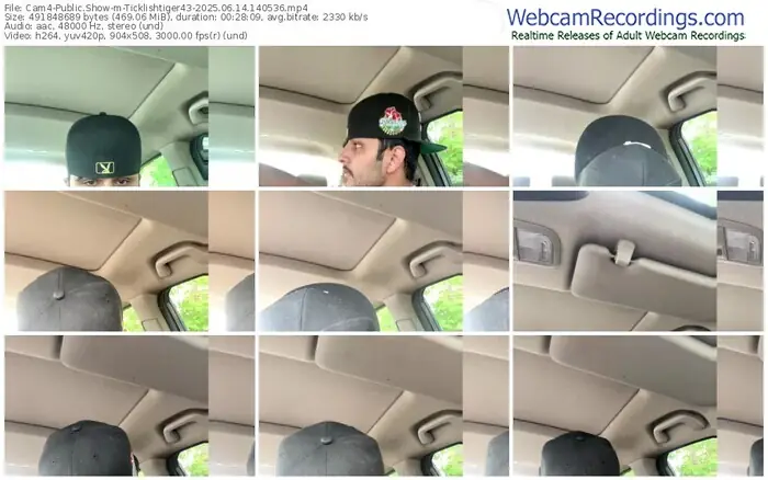 2025/06/14/cam4-ticklishtiger43-14-05-36