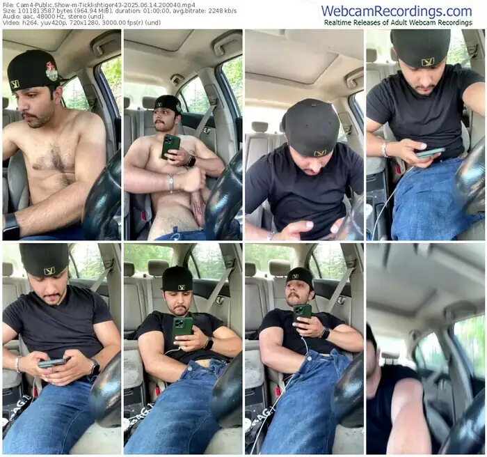 2025/06/14/cam4-ticklishtiger43-20-00-40