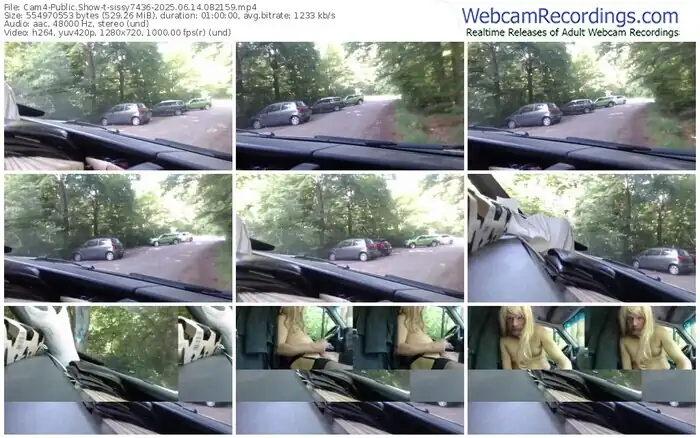 2025/06/14/cam4-sissy7436-08-21-59