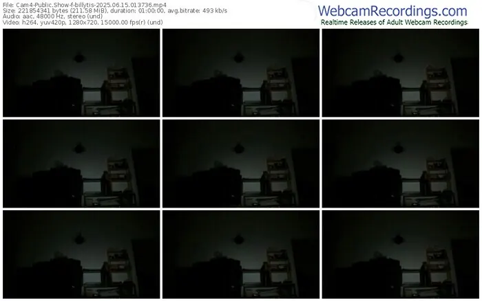 2025/06/15/cam4-billytis-01-37-36