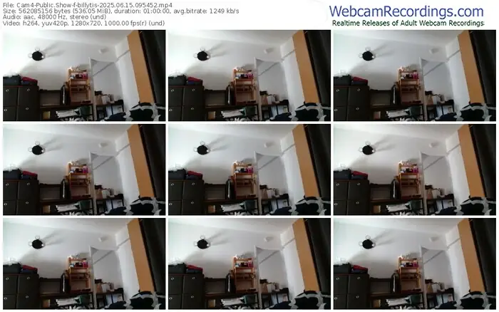 2025/06/15/cam4-billytis-09-54-52