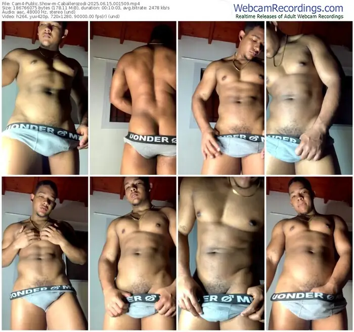 2025/06/15/cam4-caballerozodi-00-15-09