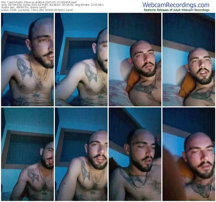 2025/06/15/cam4-diditv4-00-59-54