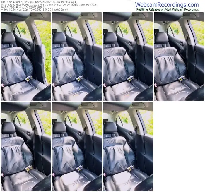 2025/06/16/cam4-chavbear-09-53-04