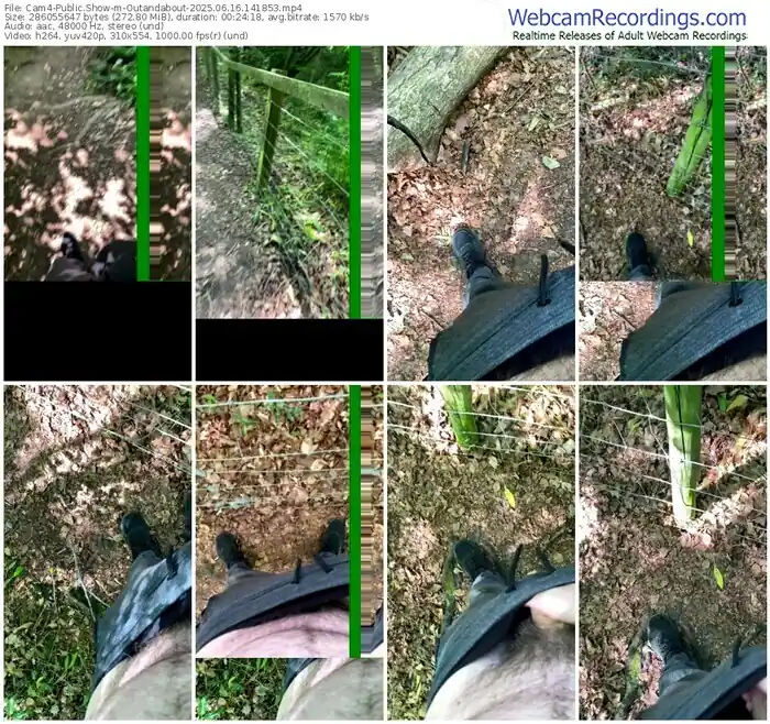 2025/06/16/cam4-outandabout-14-18-53