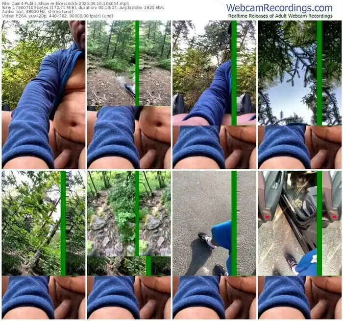 2025/06/16/cam4-likescock5-16-30-54