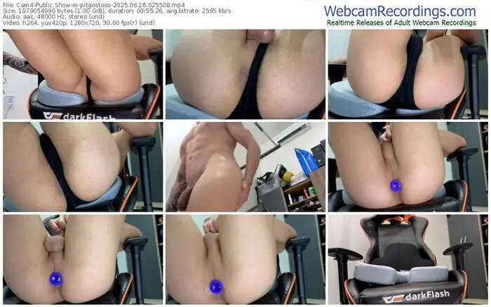 2025/06/16/cam4-pitgostoso-02-55-08