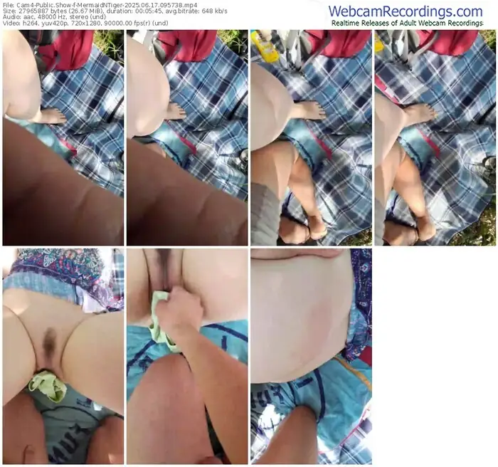 2025/06/17/cam4-mermaidntiger-09-57-38