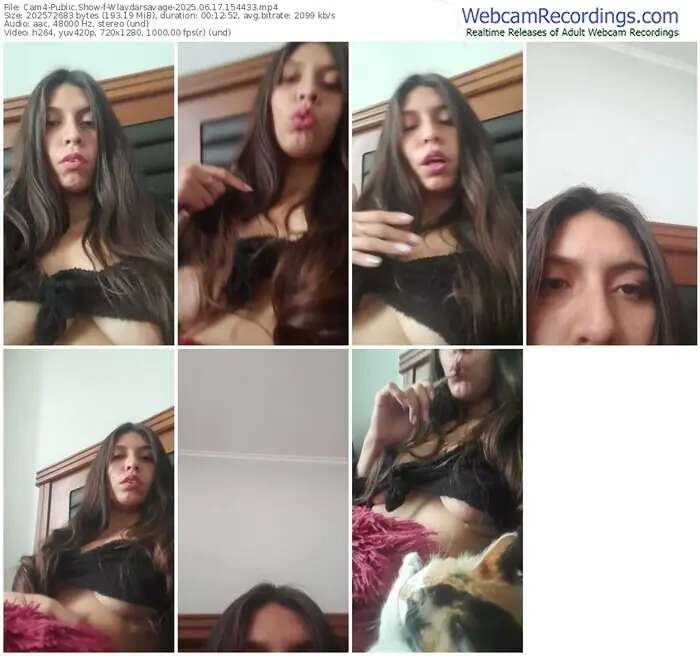 2025/06/17/cam4-wlaydarsavage-15-44-33