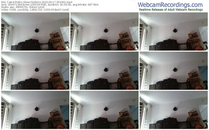 2025/06/17/cam4-billytis-05-33-01