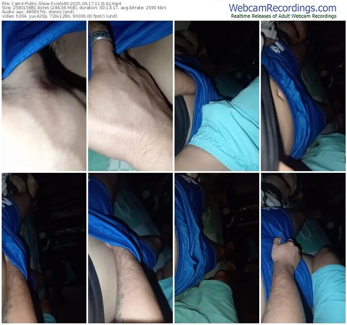 2025/06/17/cam4-cielo60-11-31-42