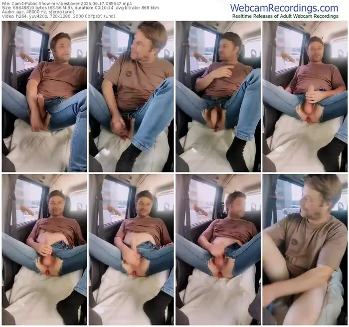 2025/06/17/cam4-vibeslover-08-56-47