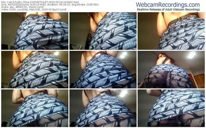 2025/06/18/cam4-inthetoilet-19-36-42