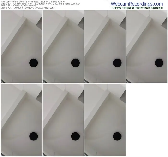 2025/06/18/cam4-porcellina181-23-49-30