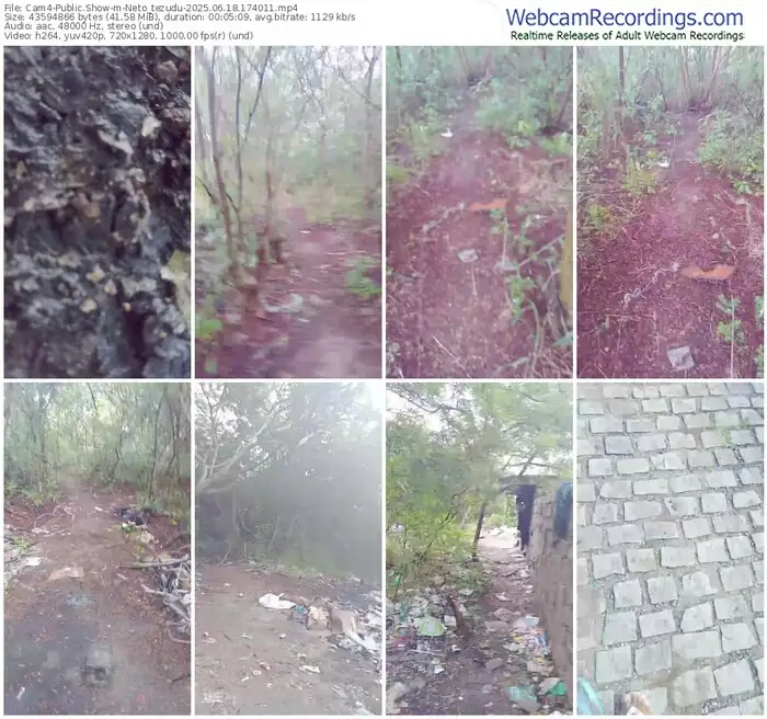 2025/06/18/cam4-neto_tezudu-17-40-11