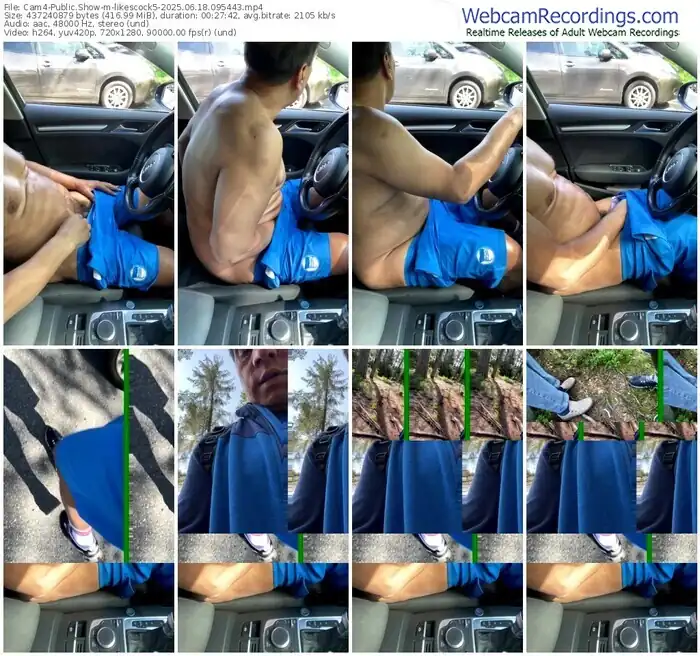 2025/06/18/cam4-likescock5-09-54-43