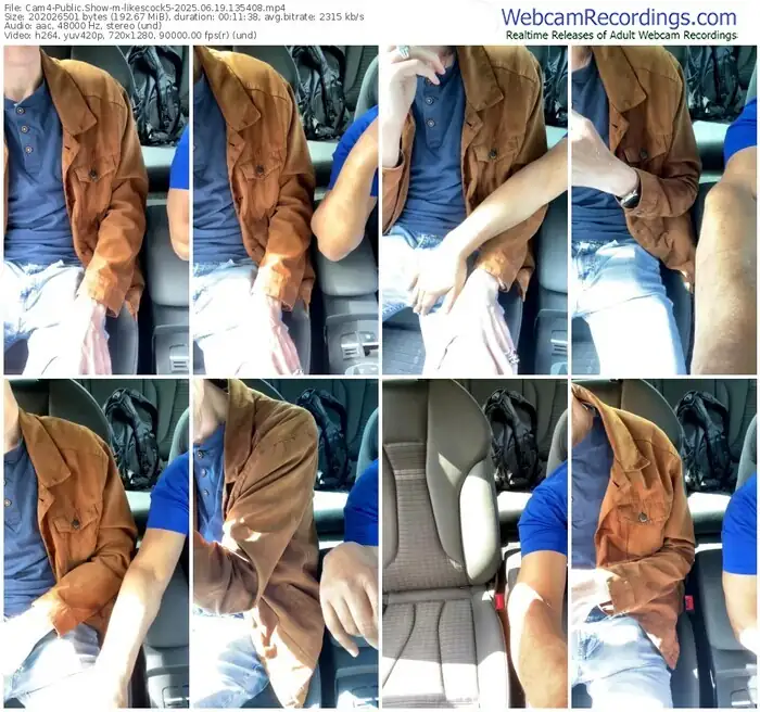 2025/06/19/cam4-likescock5-13-54-08