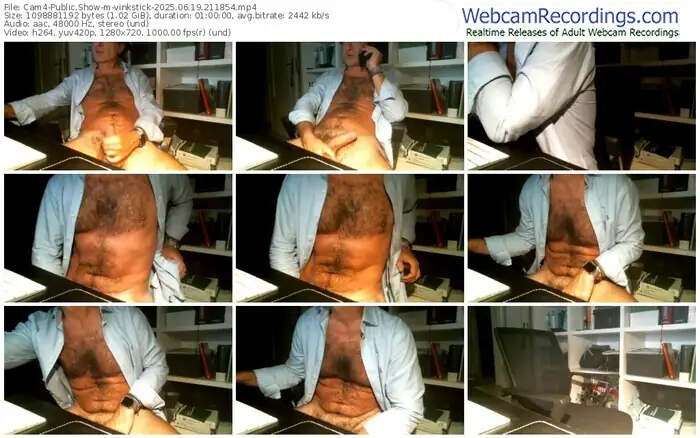 2025/06/19/cam4-vinkstick-21-18-54