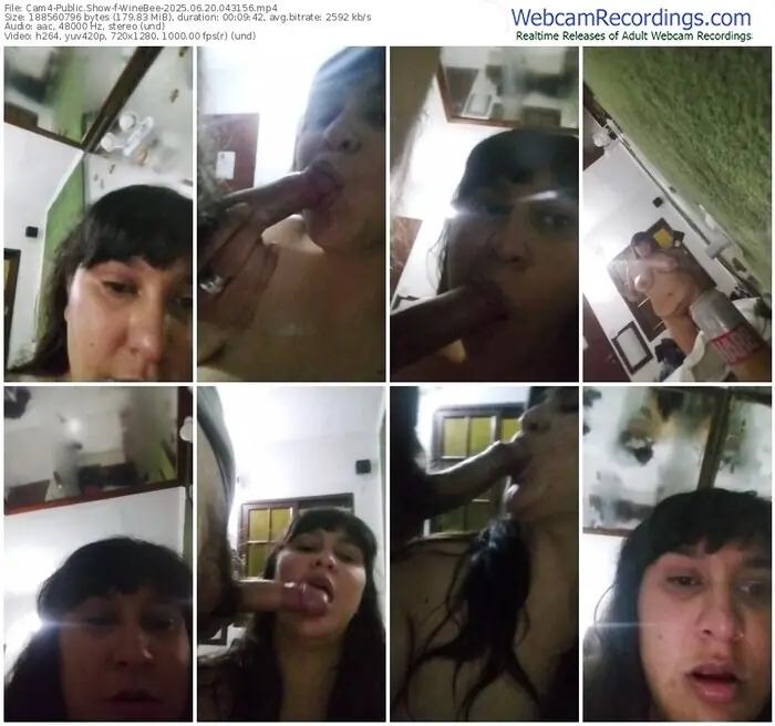 2025/06/20/cam4-winebee-04-31-56