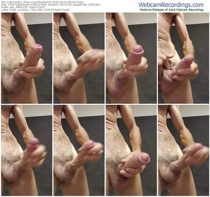 2025/06/20/cam4-perfectdick21-08-14-37