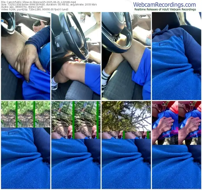 2025/06/21/cam4-likescock5-12-29-49