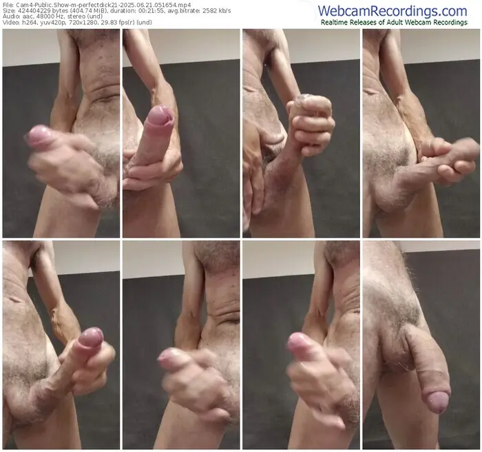 2025/06/21/cam4-perfectdick21-05-16-54
