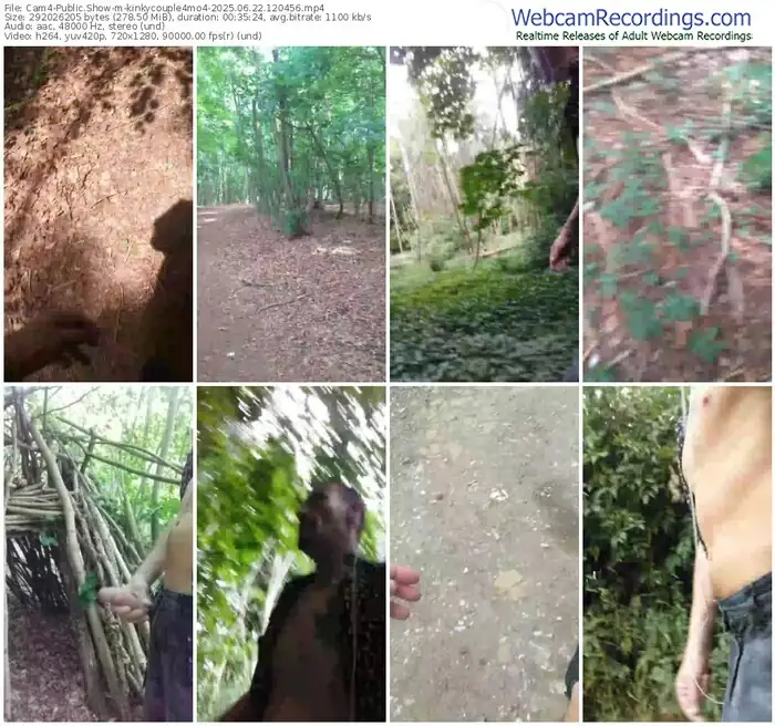 2025/06/22/cam4-kinkycouple4mo4-12-04-56