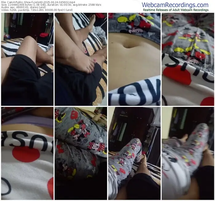 2025/06/24/cam4-cielo60-04-56-02