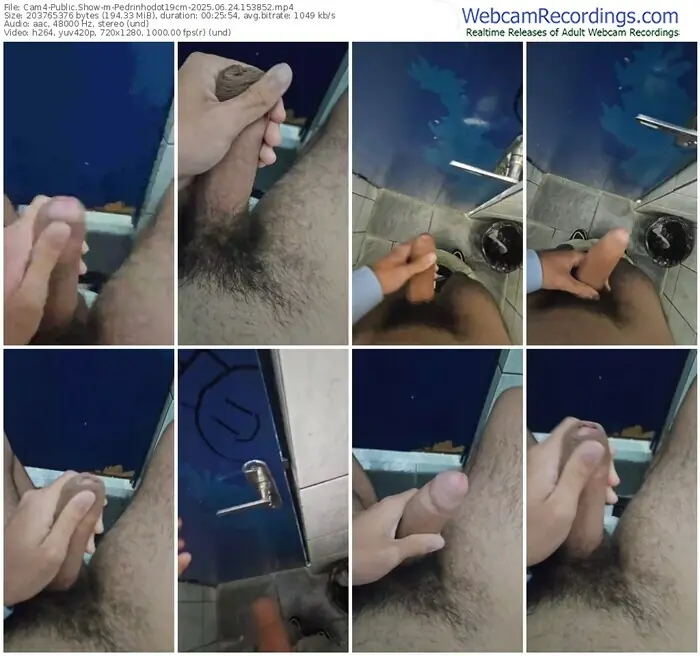 2025/06/24/cam4-pedrinhodot19cm-15-38-52