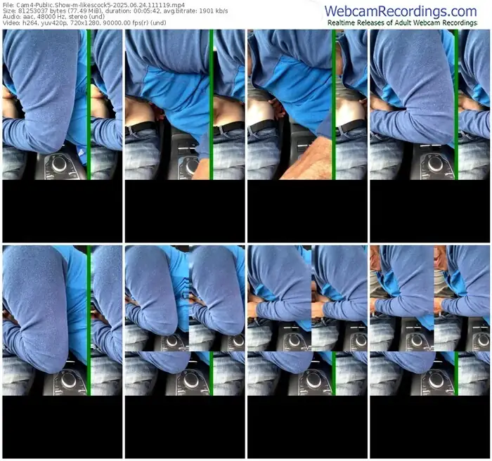 2025/06/24/cam4-likescock5-11-11-19