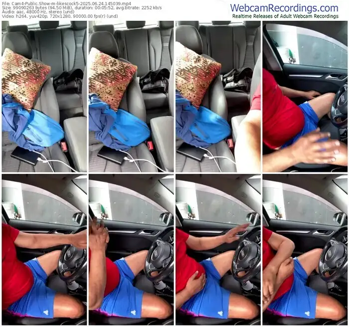 2025/06/24/cam4-likescock5-14-50-39