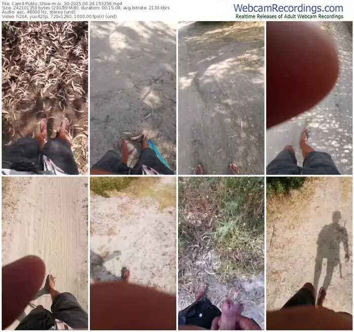 2025/06/24/cam4-lx_30-15-32-56