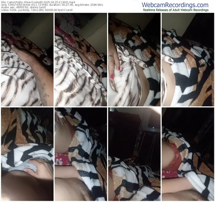2025/06/25/cam4-cielo60-11-30-01