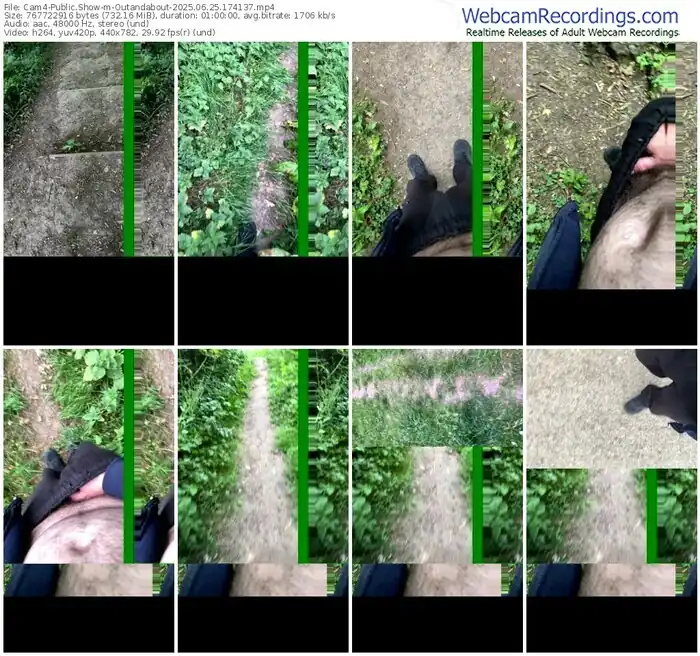 2025/06/25/cam4-outandabout-17-41-37